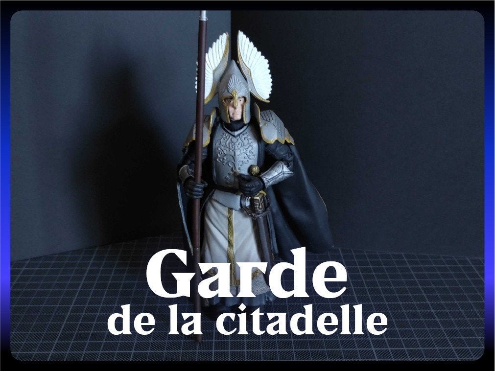 ToyBiz LOTR | Garde de la Citadelle (2004), Enlèvement, Comme neuf, Figurine
