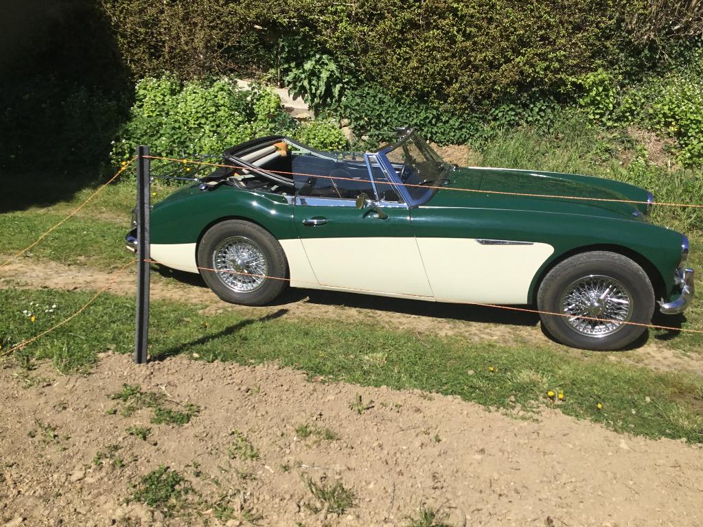 ‘cabriolet ancêtre, foto 12