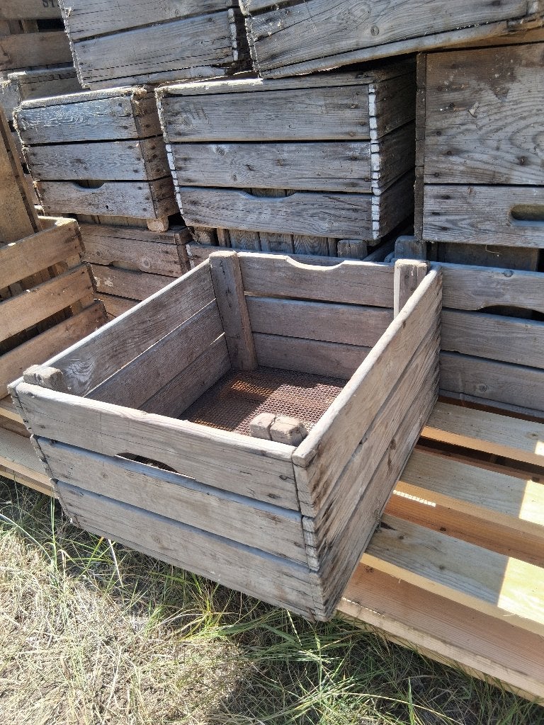 Retro fruitkisten 10 euro stuk, Ophalen, Gebruikt, 40 tot 60 cm, Minder dan 50 cm