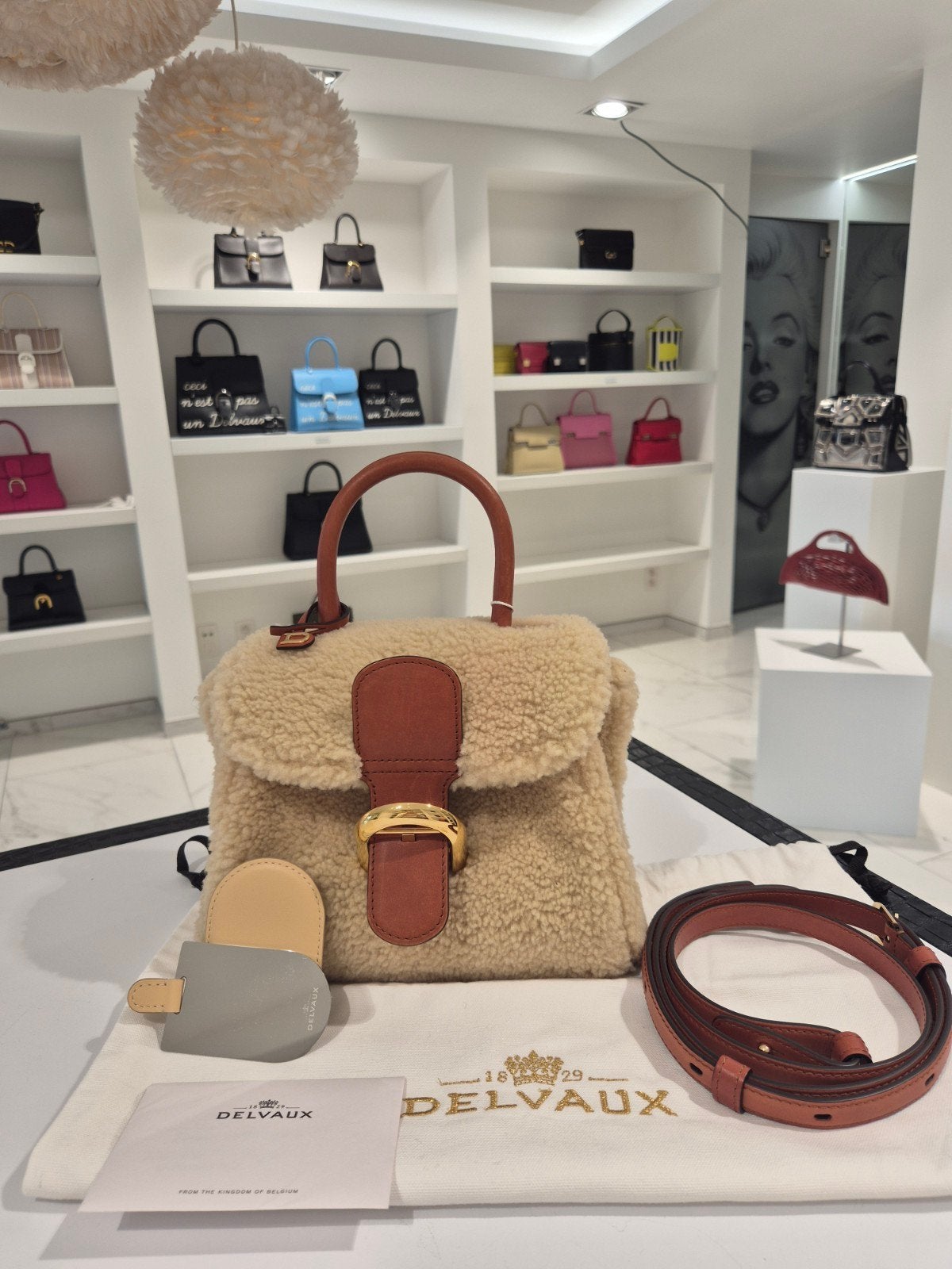 Delvaux Brillant Mini Teddy, Ophalen, Zo goed als nieuw, Beige, Handtas