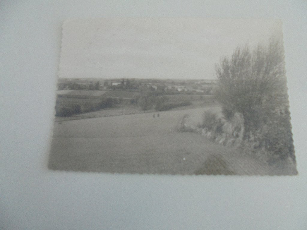 westouter - panorama, Verzamelen, Ophalen of Verzenden, 1960 tot 1980, Gelopen, West-Vlaanderen