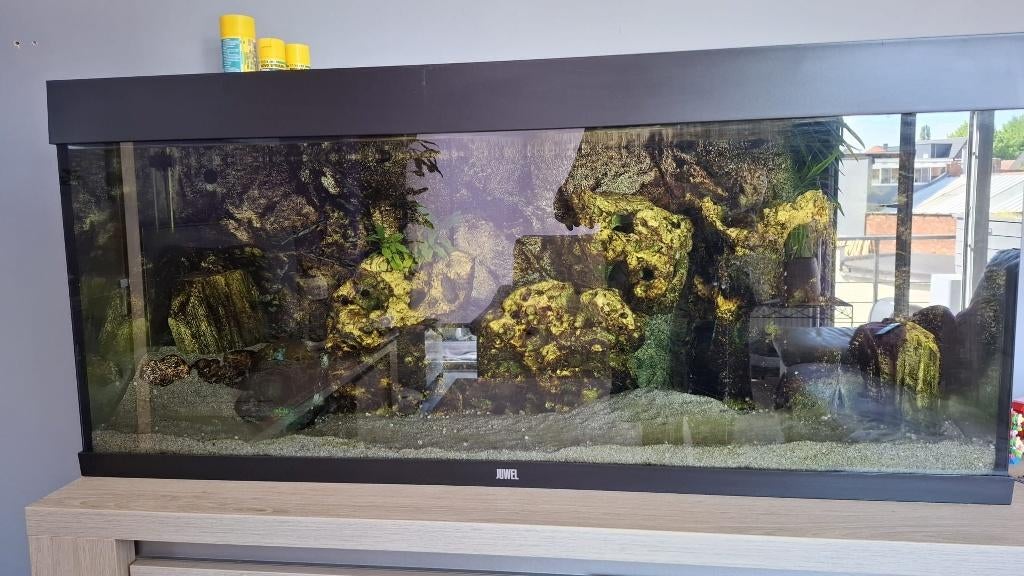 Aquarium, Dieren en Toebehoren, Ophalen, Gebruikt, Inclusief deksel, Gevuld zoetwateraquarium