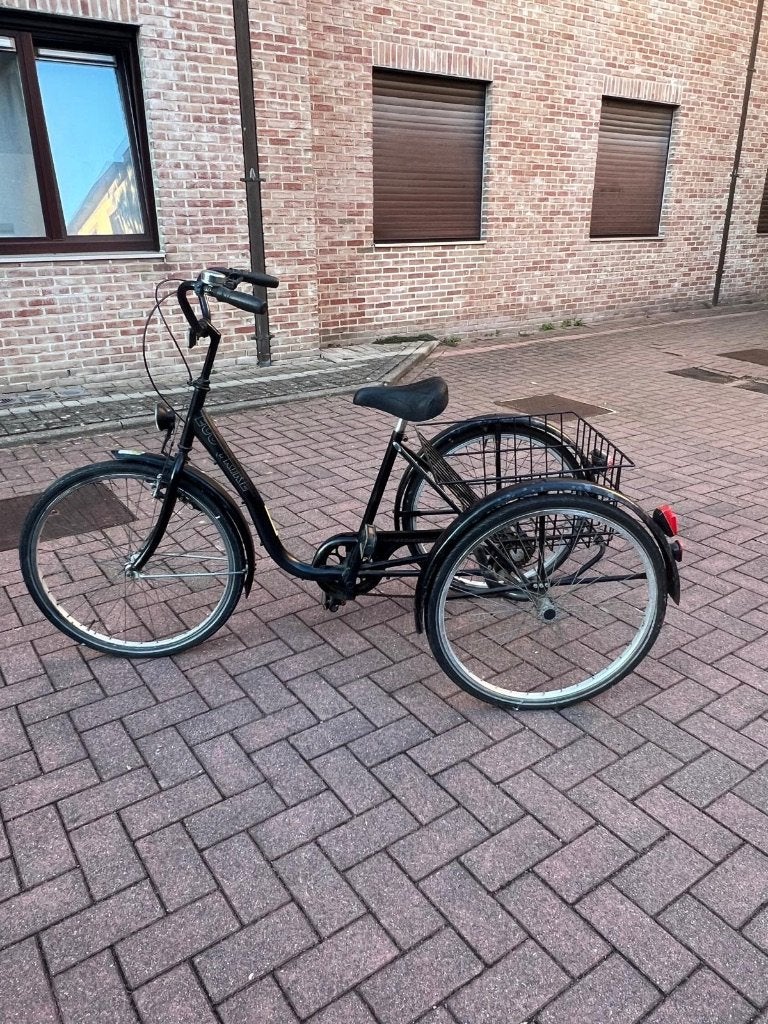 Fiets Driewieler, Fietsen en Brommers, Ophalen, Gebruikt