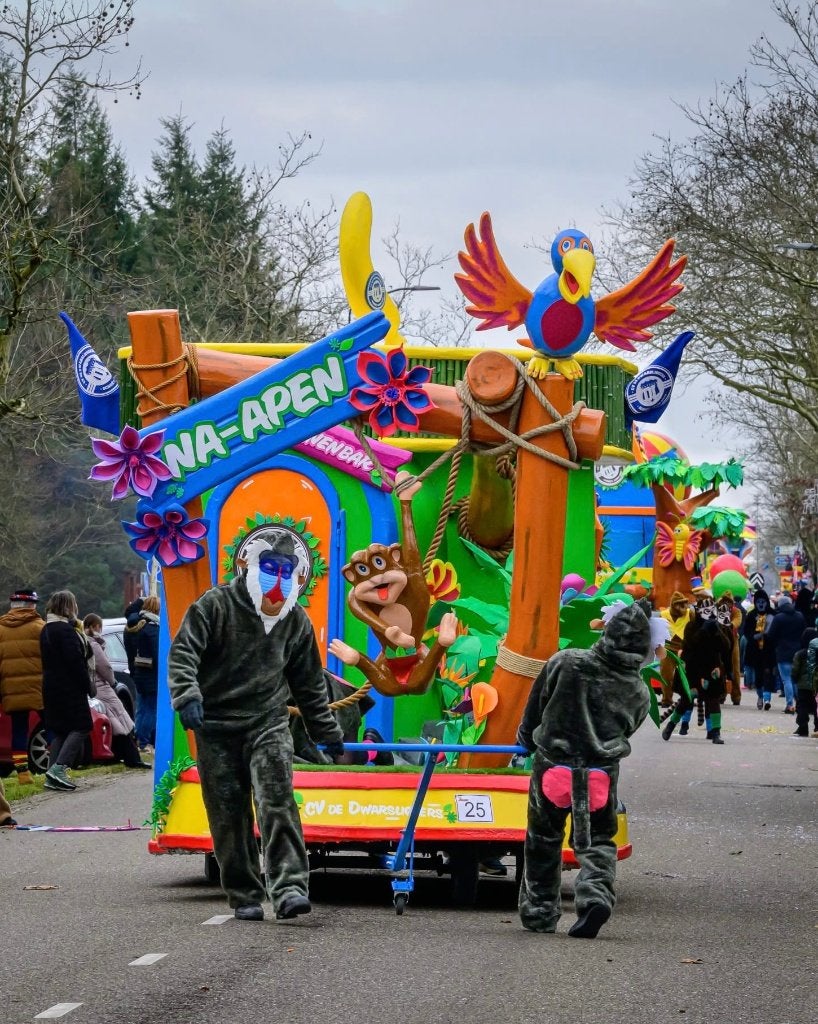 Carnavalswagen / loopgroep thema Apen / Jungle, Hobby en Vrije tijd, Feestartikelen, Ophalen, Gebruikt, Feestartikel