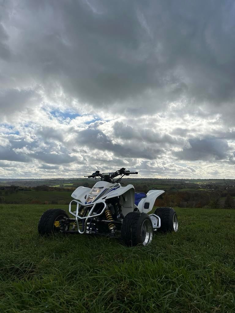 LTZ400 Suzuki, Motoren