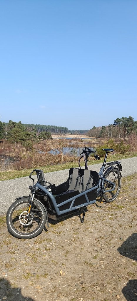 riesse muller load 75, Fietsen en Brommers, Ophalen, Gebruikt, 50 km per accu of meer, Riese & Müller
