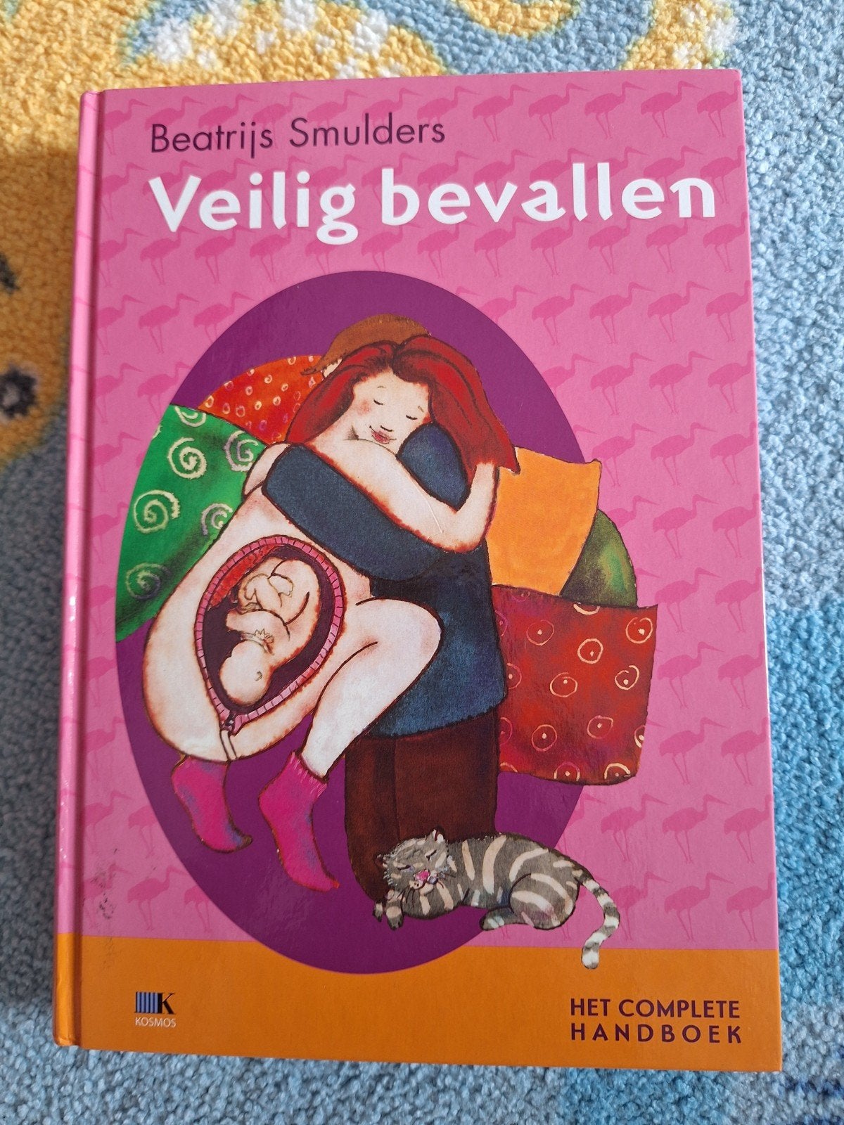 Beatrijs Smulders - Veilig bevallen, Boeken, Ophalen, Beatrijs Smulders
