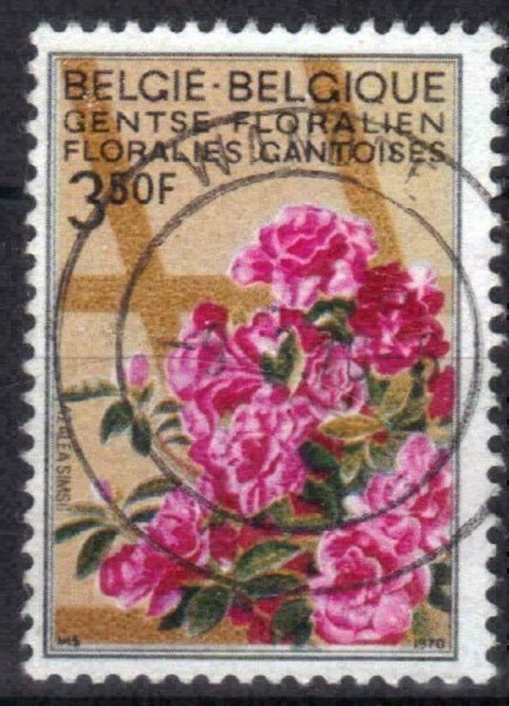 Belgie 1970 - Yvert/OBP 1525 - Gentse Floralien IV (ST), Postzegels en Munten, Postzegels | Europa | België, Verzenden, Gestempeld