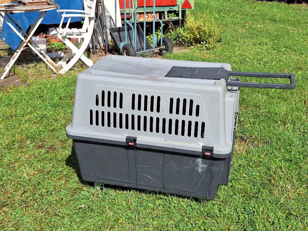 Cage de transport pour chien moyen, Animaux & Accessoires, Enlèvement, Utilisé