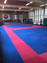 Puzzelmatten te koop. Ideaal voor staande gevechtsporten., Sport en Fitness, Vechtsporten en Zelfverdediging, Ophalen, Gebruikt