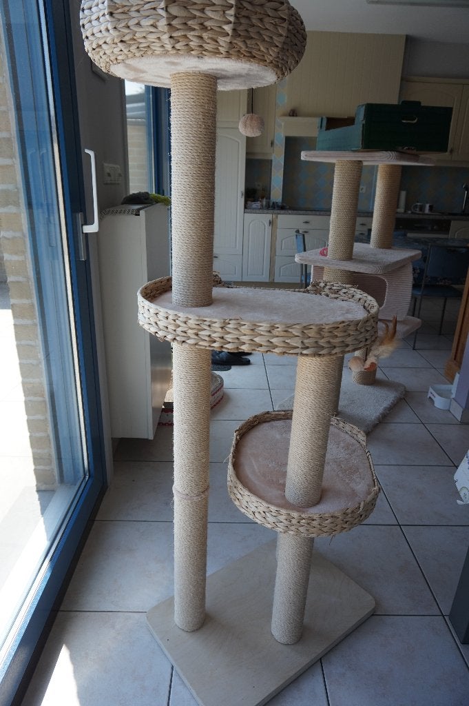 Kattenkrabpaal, Ophalen, Gebruikt, Krabpaal