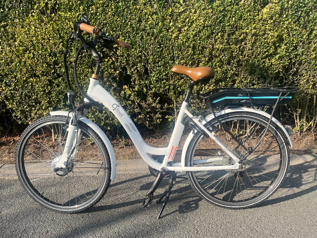 elektrische fiets, Vélos & Vélomoteurs, 47 à 51 cm, Enlèvement