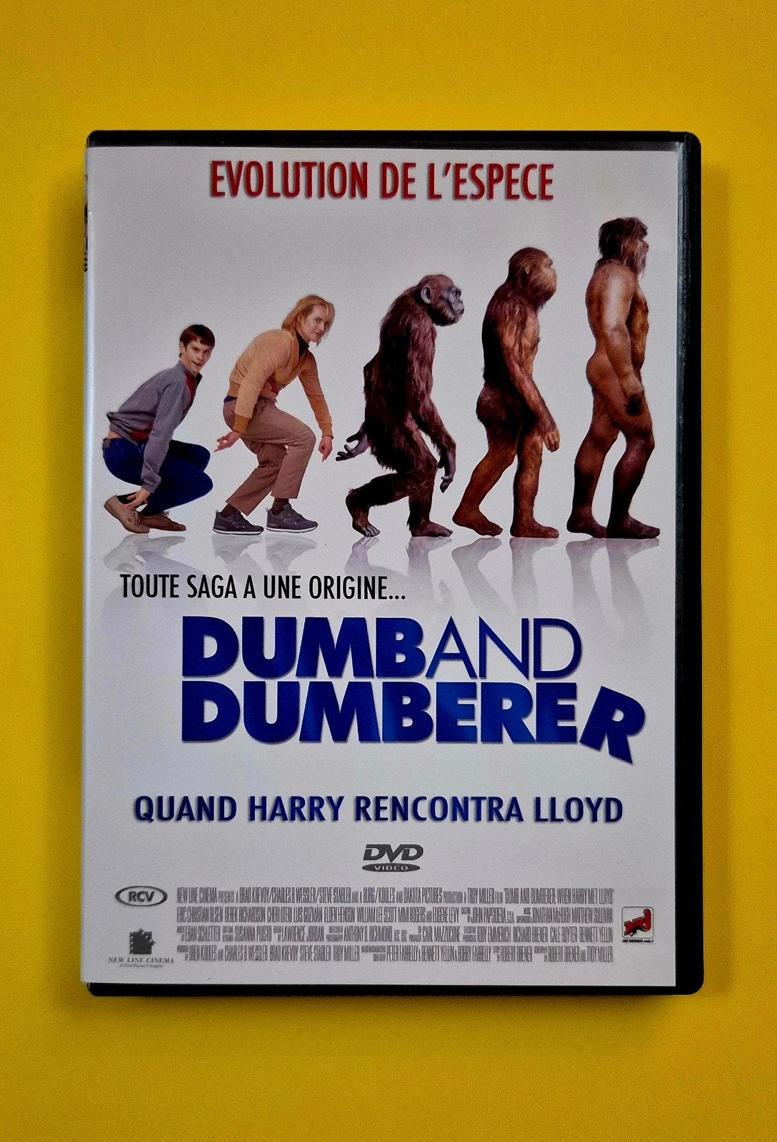 DVD 📀 Dumb and Dumberer - Comédie V, CD & DVD, DVD | Comédie, Utilisé, Autres genres, Tous les âges, Enlèvement ou Envoi