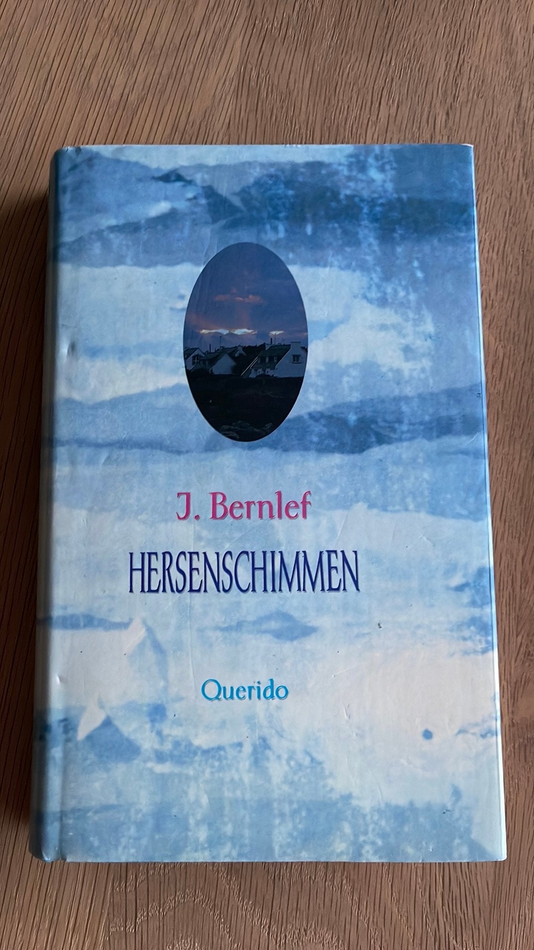 Hersenschimmen - J. Bernlef, Ophalen of Verzenden, Zo goed als nieuw