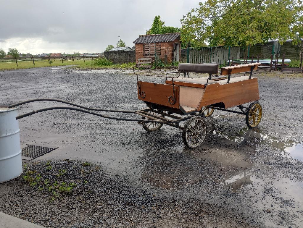Koets voor pony of klein paard, Dieren en Toebehoren, Gebruikt, Wagonette, Paard of Pony