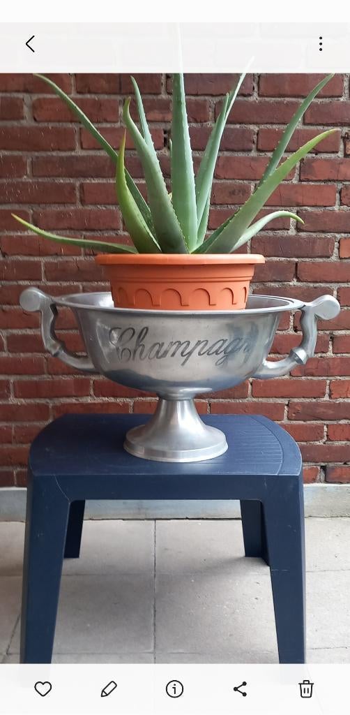Zware Vintage Champagneschaal of Champagnekoeler op voet, Huis en Inrichting, Woonaccessoires | Wijnrekken, Gebruikt, Metaal, Minder dan 5 flessen