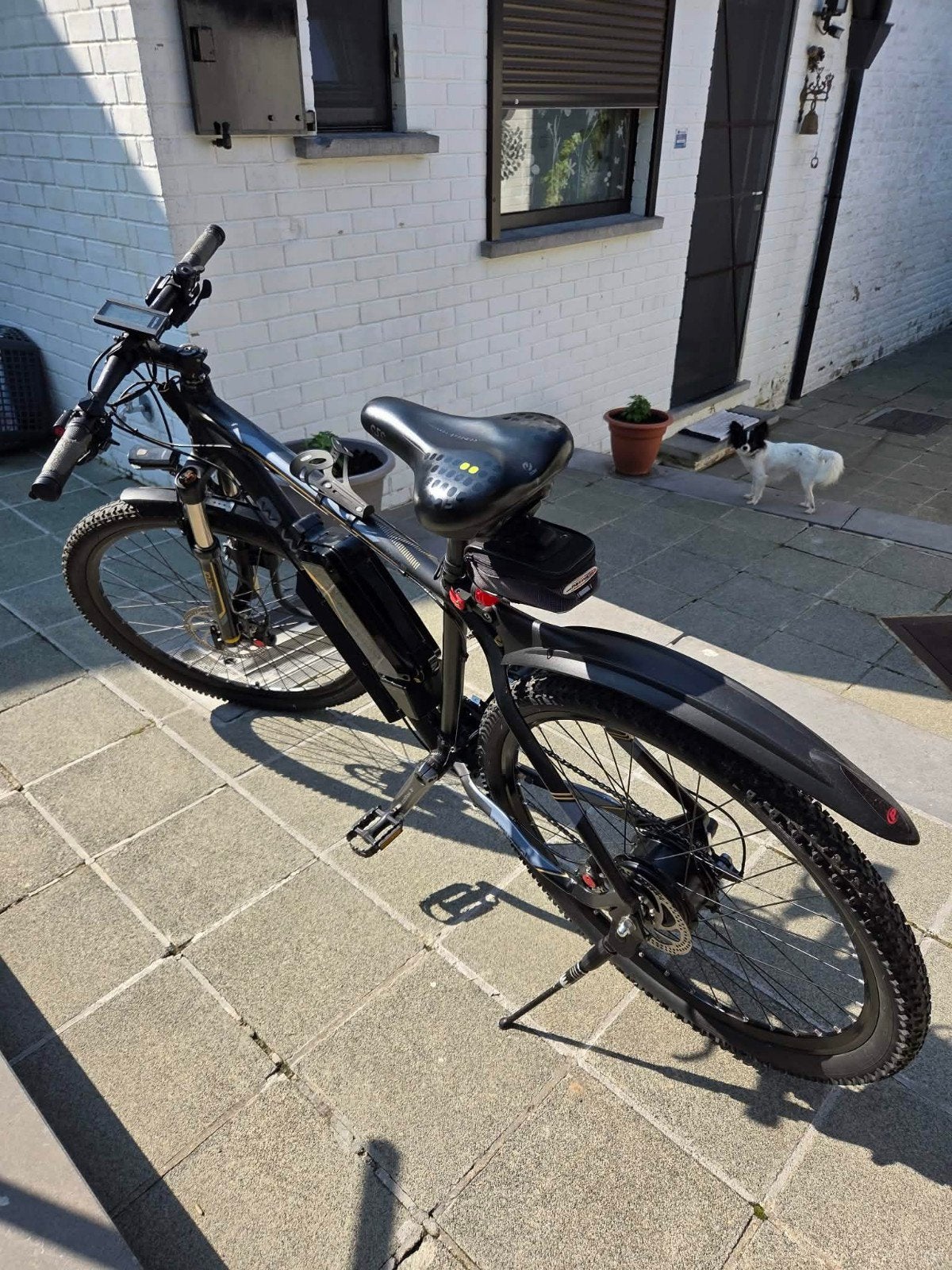 Vélo électrique adulte, Ophalen