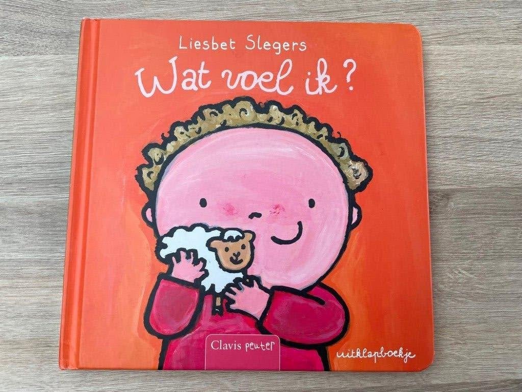 wat voel ik? (clavis), Boeken, Ophalen of Verzenden