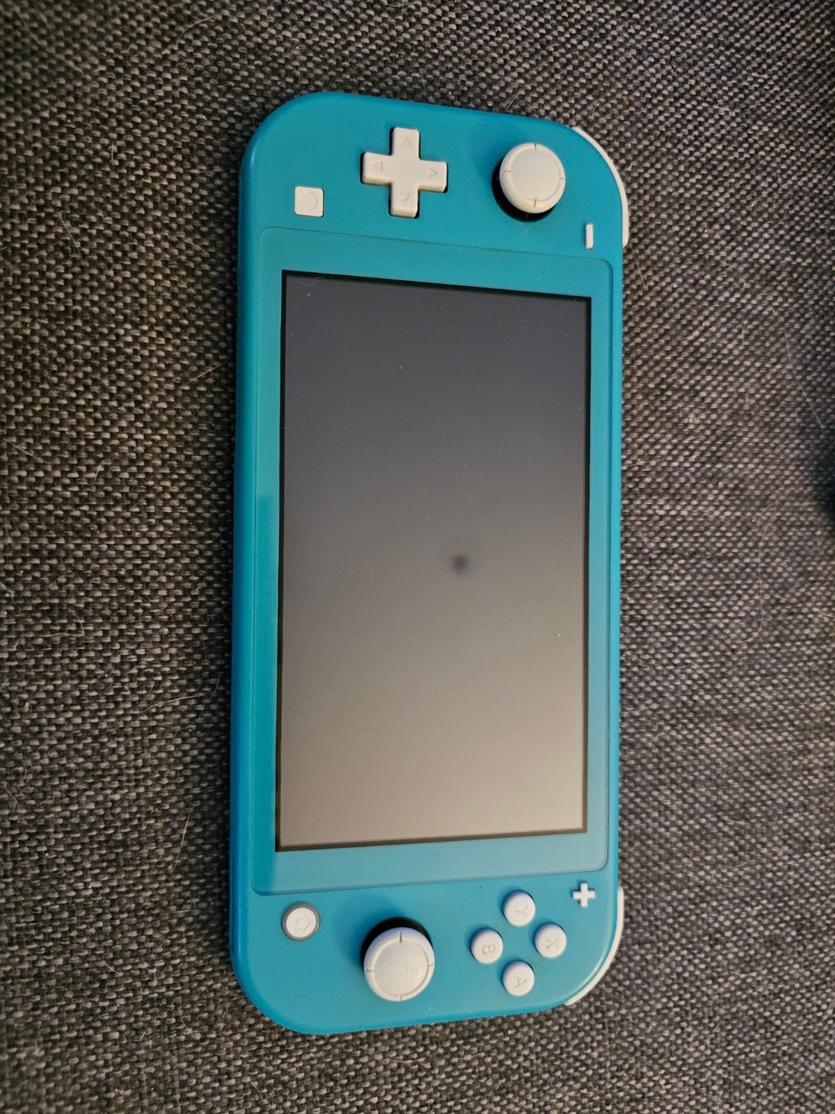 Nintendo switch light blauw goede staat, Consoles de jeu & Jeux vidéo, Consoles de jeu | Nintendo Switch Lite, Enlèvement