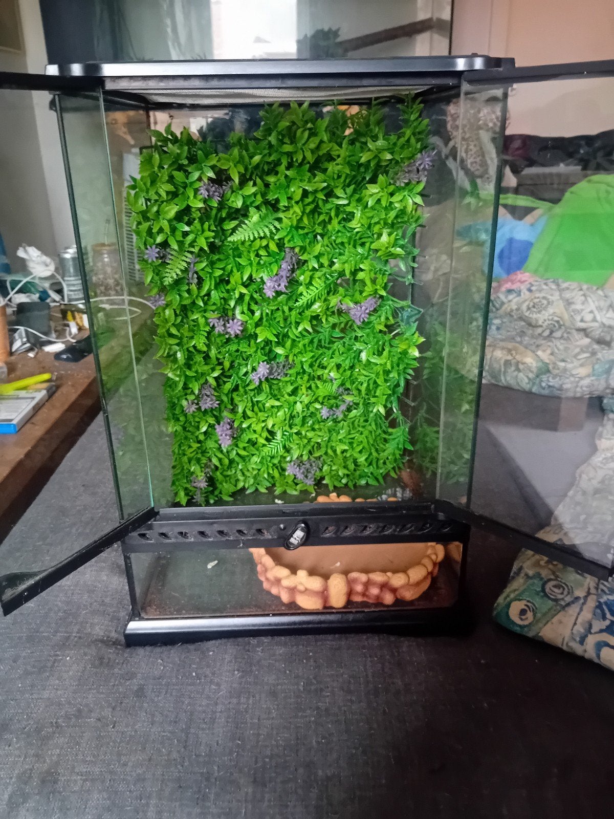 terrarium p.o.t.k, Ophalen, Gebruikt, Terrarium of Paludarium