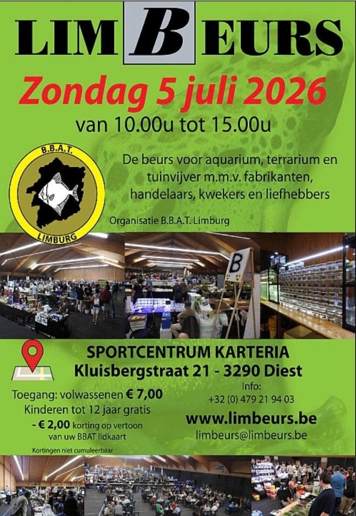 Kom naar de Limbeurs, leukste aquariumbeurs van België!, Dieren en Toebehoren, Vissen | Aquaria en Toebehoren, Nieuw, Ophalen