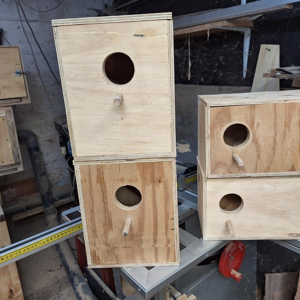 Nestkasten grasparkieten, dwergpapagaaien, Enlèvement, Neuf, Autres types