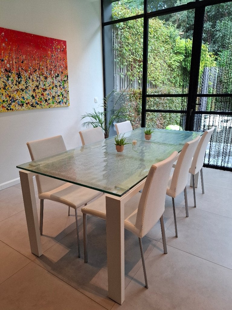 Eettafel en 6 stoelen, Huis en Inrichting, Ophalen, Glas, 200 cm of meer, 50 tot 100 cm
