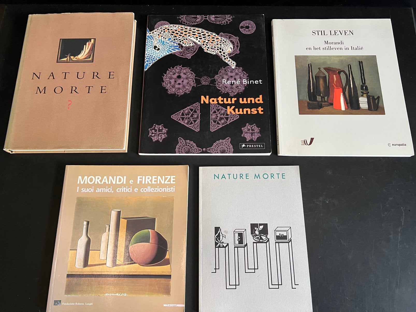 5x kunst & natuur en stilleven, Livres, Art & Culture | Arts plastiques, Enlèvement, Comme neuf