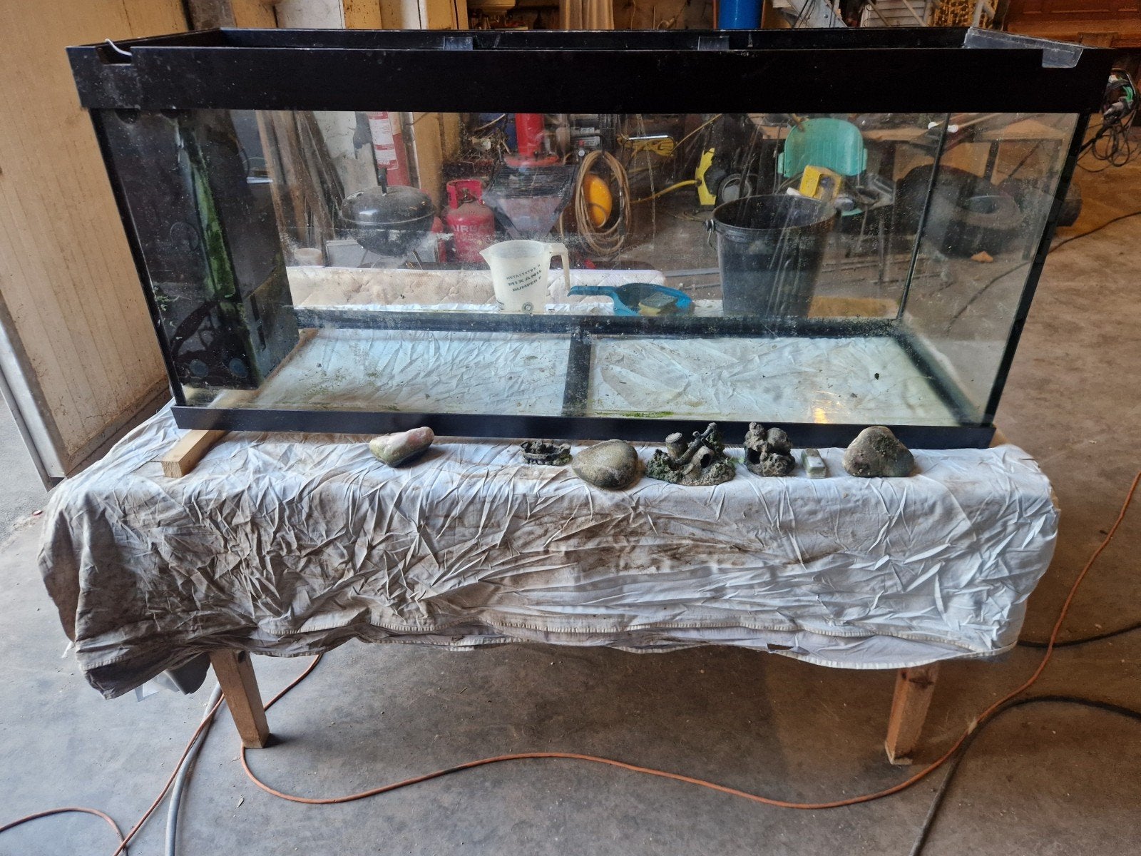 aquarium, Enlèvement