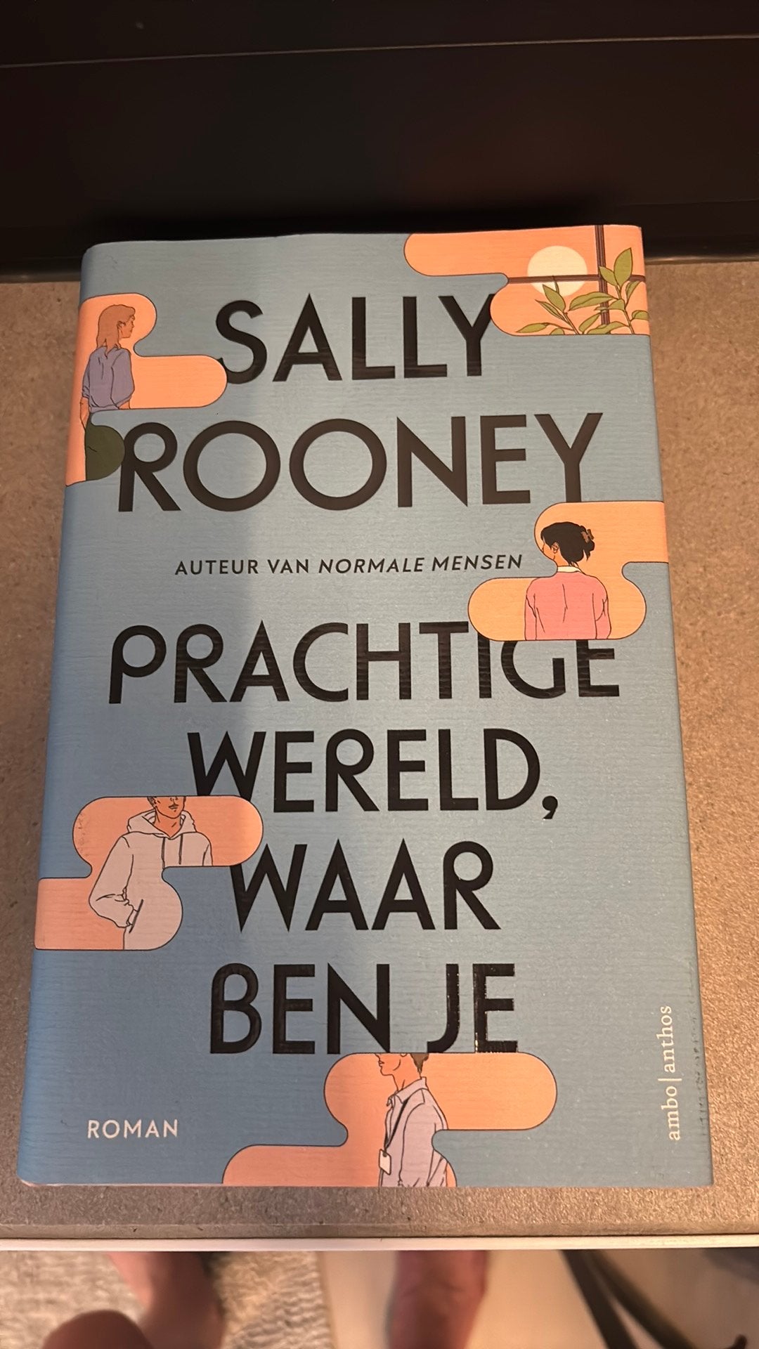 Sally Rooney - Prachtige wereld, waar ben je (HARDCOVER), Enlèvement, Neuf, Sally Rooney
