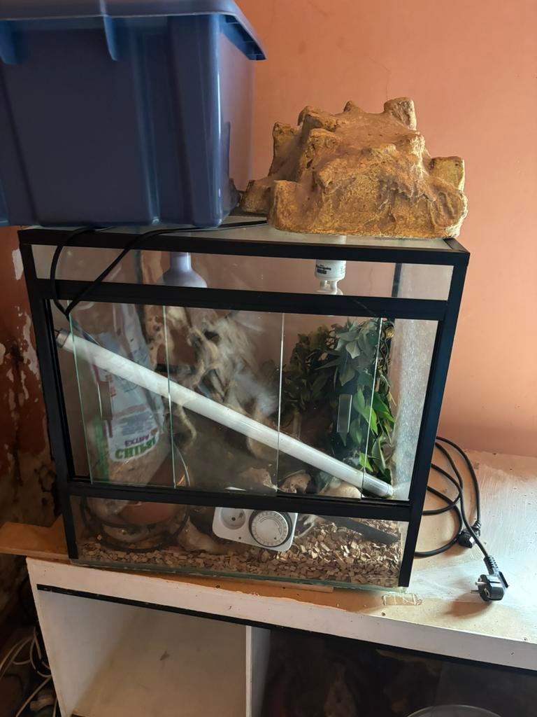 Decoratie en 2 terrariums, Dieren en Toebehoren, Ophalen, Gebruikt