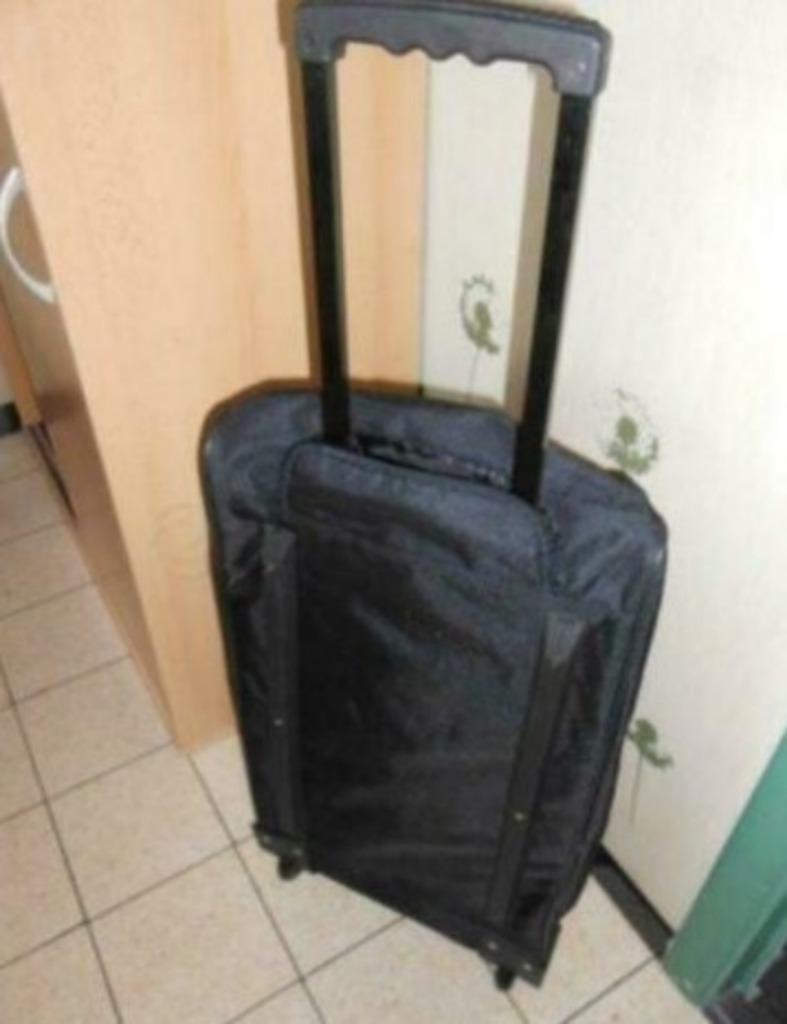 tupperware : grand sac " de voyage ", Enlèvement ou Envoi, Neuf, Bleu, Poignée extensible