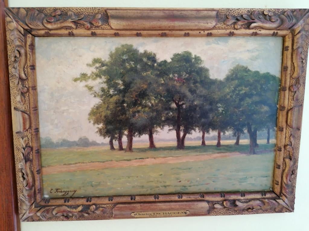 HUILE SUR TOILE PAYSAGE SIGNÉ., Antiquités & Art, Art | Peinture | Classique, Enlèvement