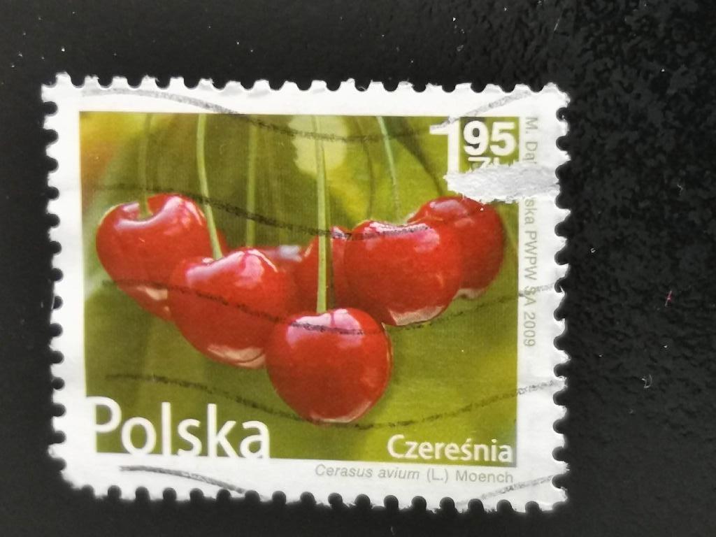 Polen 2009 - fruit - zoete kers, Ophalen of Verzenden, Polen