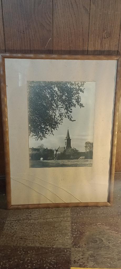 Photo ancienne sous verre - Église et vaches 53x72, n347, Enlèvement