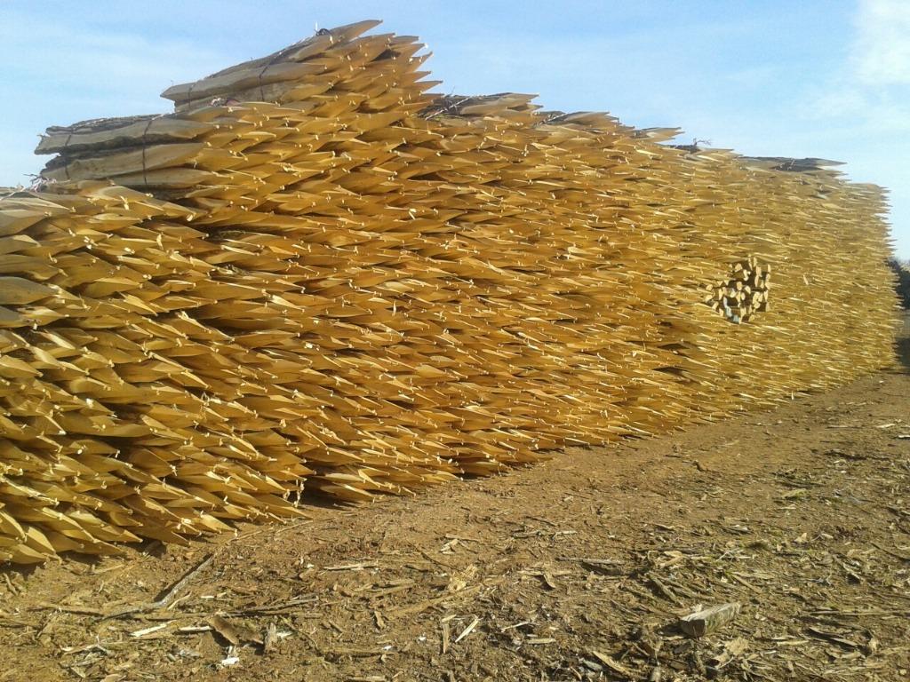 PIQUIETS EN ACACIA, Enlèvement, Bois