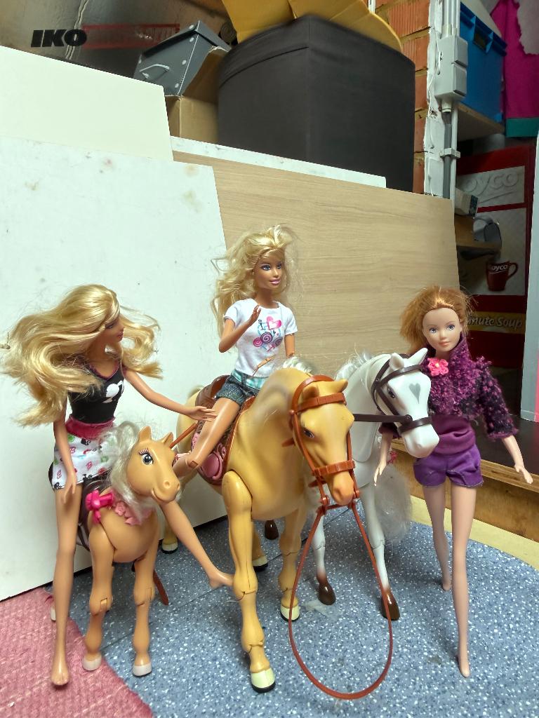 Barbie paarden, Ophalen, Barbie