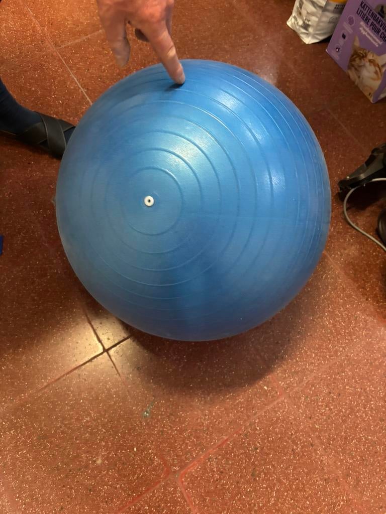 Gymbal blauw en zwarte, Sport en Fitness, Ophalen, Zo goed als nieuw
