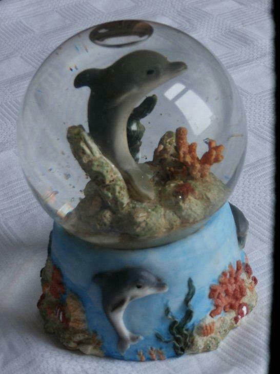 Snow Globe"Dolphin", Verzamelen, Ophalen of Verzenden, Gebruikt