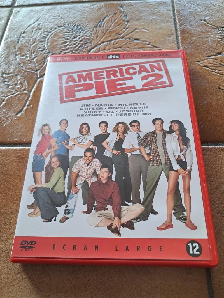 American Pie 2 DVD, Cd's en Dvd's, Vanaf 12 jaar, Ophalen of Verzenden, Gebruikt