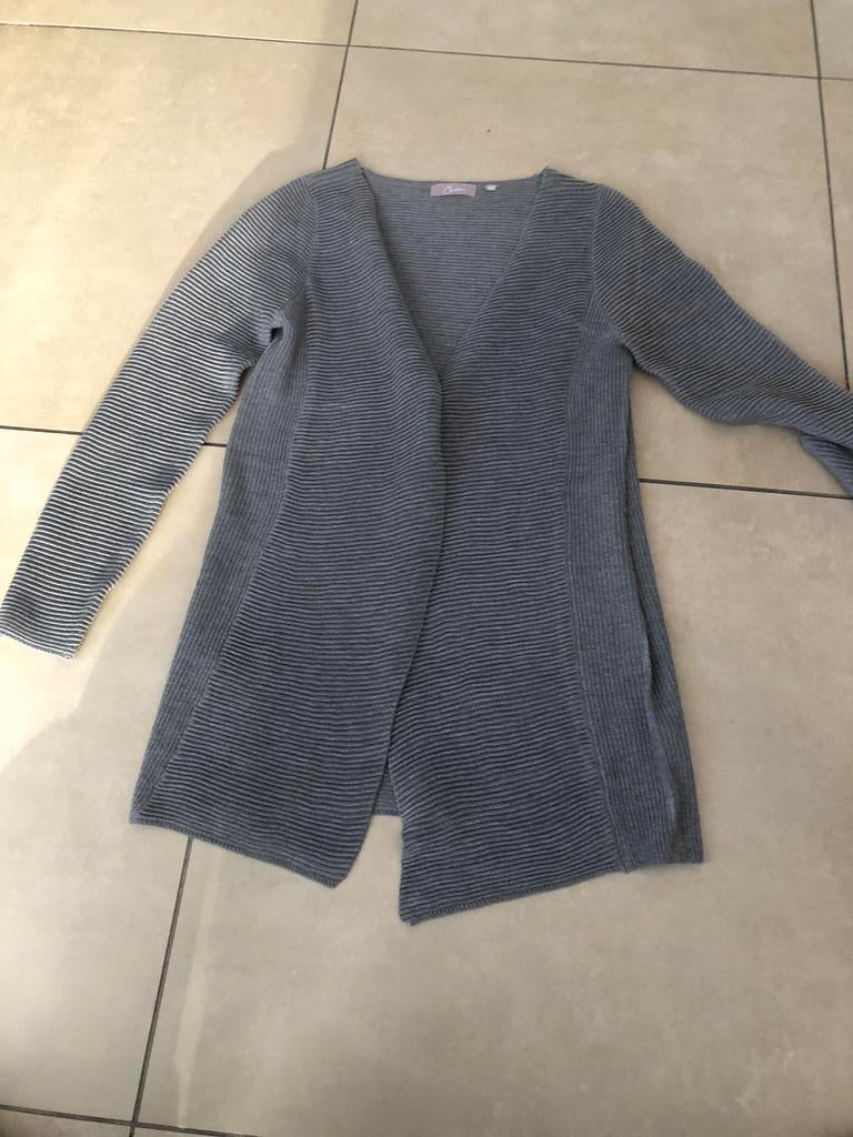 Gilet gris taille 40, Vêtements | Femmes, Pulls & Gilets, Taille 38/40 (M), Gris, Enlèvement ou Envoi, Cassis