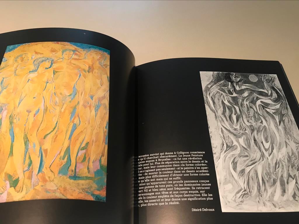 Georges Collignon Peintures 60 pages, Enlèvement ou Envoi, Comme neuf, Peinture et dessin