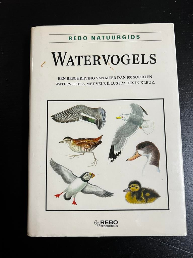 Rebo Natuurgids – Watervogels, Boeken, Dieren en Huisdieren, Zo goed als nieuw, Vogels, Ophalen of Verzenden