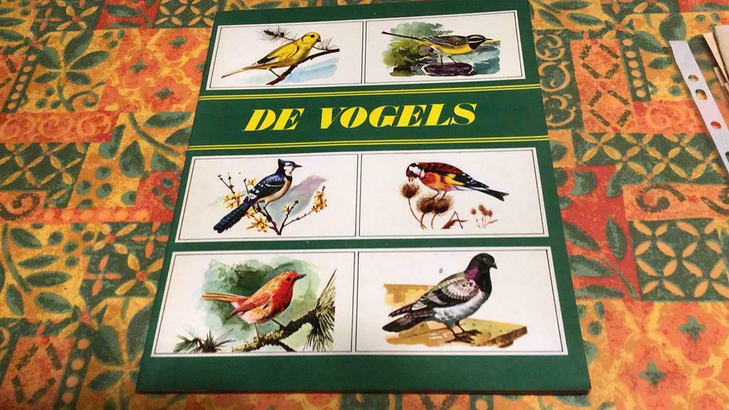 De vogels(+), Boeken, Prentenboeken en Plaatjesalbums, Ophalen of Verzenden, Gelezen, Plaatjesalbum