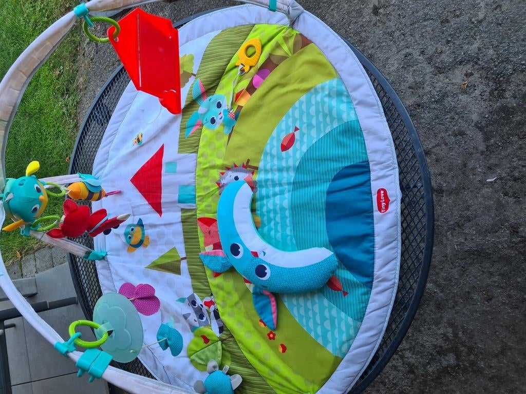 Speelmat Tiny Love, Kinderen en Baby's, Ophalen, Gebruikt