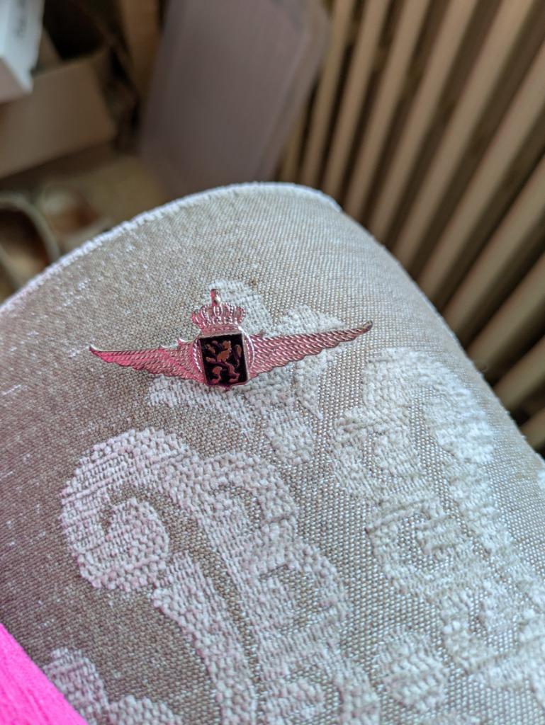 Kenteken voor baret, Verzamelen, Ophalen of Verzenden, Luchtmacht, Embleem of Badge