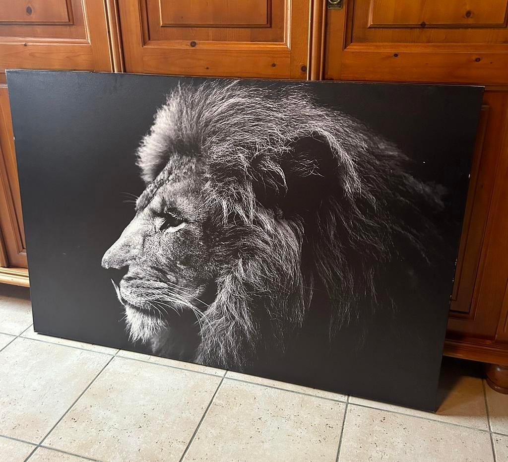Leeuw op doek - decoratie, Enlèvement, Comme neuf