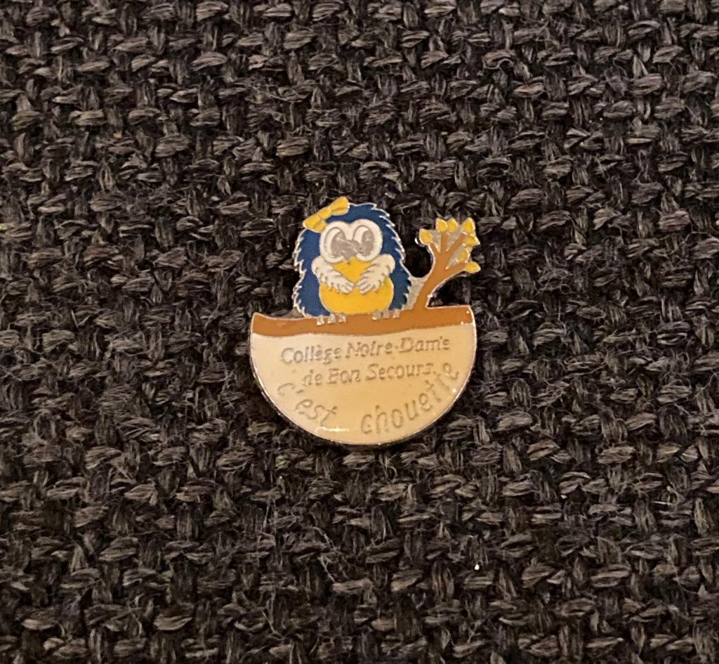 PIN - COLLÈGE NOTRE DAME DE BON SECOURS - C'EST CHOUETTE UIL, Envoi, Utilisé, Autres sujets/thèmes, Insigne ou Pin's