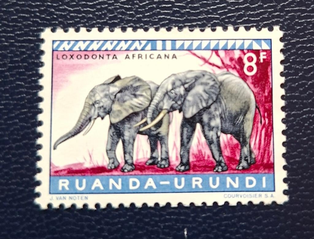 Postzegel Ruanda-Urundi OBP 215**, Ophalen of Verzenden, Postfris