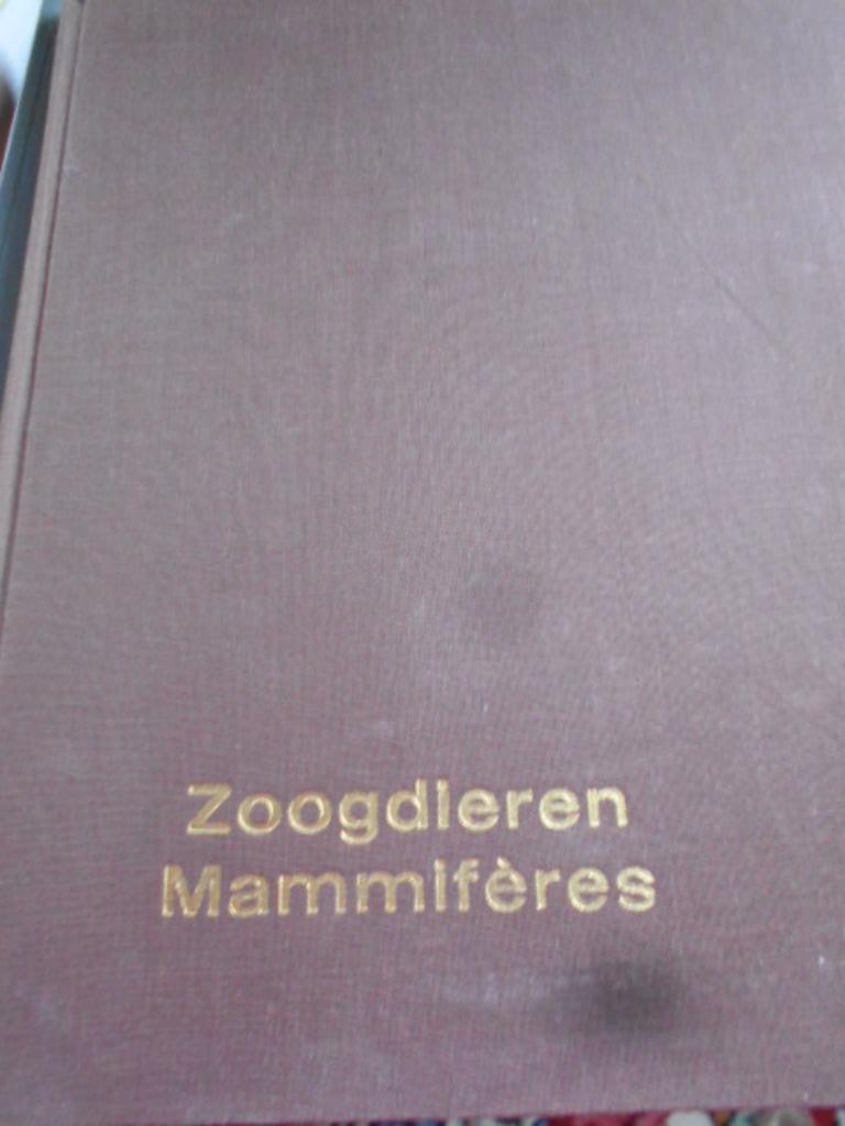 fort, livre d'images, mammifères 1 et oiseaux 1 :5 € piece, Livres, Enlèvement ou Envoi, Utilisé, Autres espèces, Fort